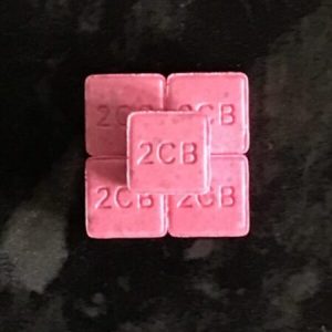 2c-b pill, 2c b pill, 2c b pills, 2c-b pills, 2c-b smart pill, apple blue pills 2c-b, bk-2c-b pills, buy 2c-b pills online, red bee pill 2c-b, 2c-b pill, 2c b pill, 2c b pills, 2c-b pill plugged, 2c-b pills, 2c-b popping two pills, 2c-b-fly pills, buy 2c-b pills online, mild psychedelic green pill 2c-b, snorting 2c-b pill, buy 2c-b pills online, 2c-b pill lips, 2c-b pill warnings, 2c-b pille klein rosa viereckig, 2c-b pille lippen, 2c-b pille nasal, 2c-b pillen, 2c-b pills, bk-2c-b pills, buy 2c-b pills online, lila kleeblatt pille 2c-b, lila kleeblatt pille 2c-b dodis, wieviel hat eine pille 2c-b, 2c-b pill, 2c-b pills, buy 2c-b pills online, 2c-b pills, buy 2c-b pills online,